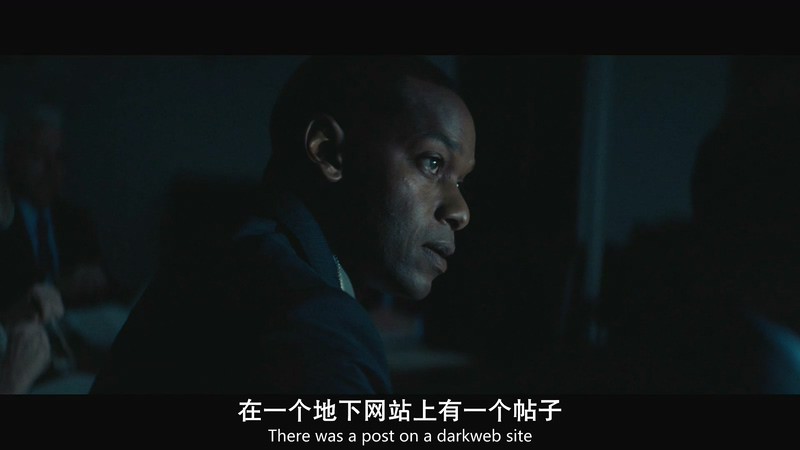 2018美国喜剧《副总统》HD720P&HD1080P.英语中英双字截图