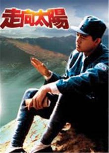 走向太阳封面图