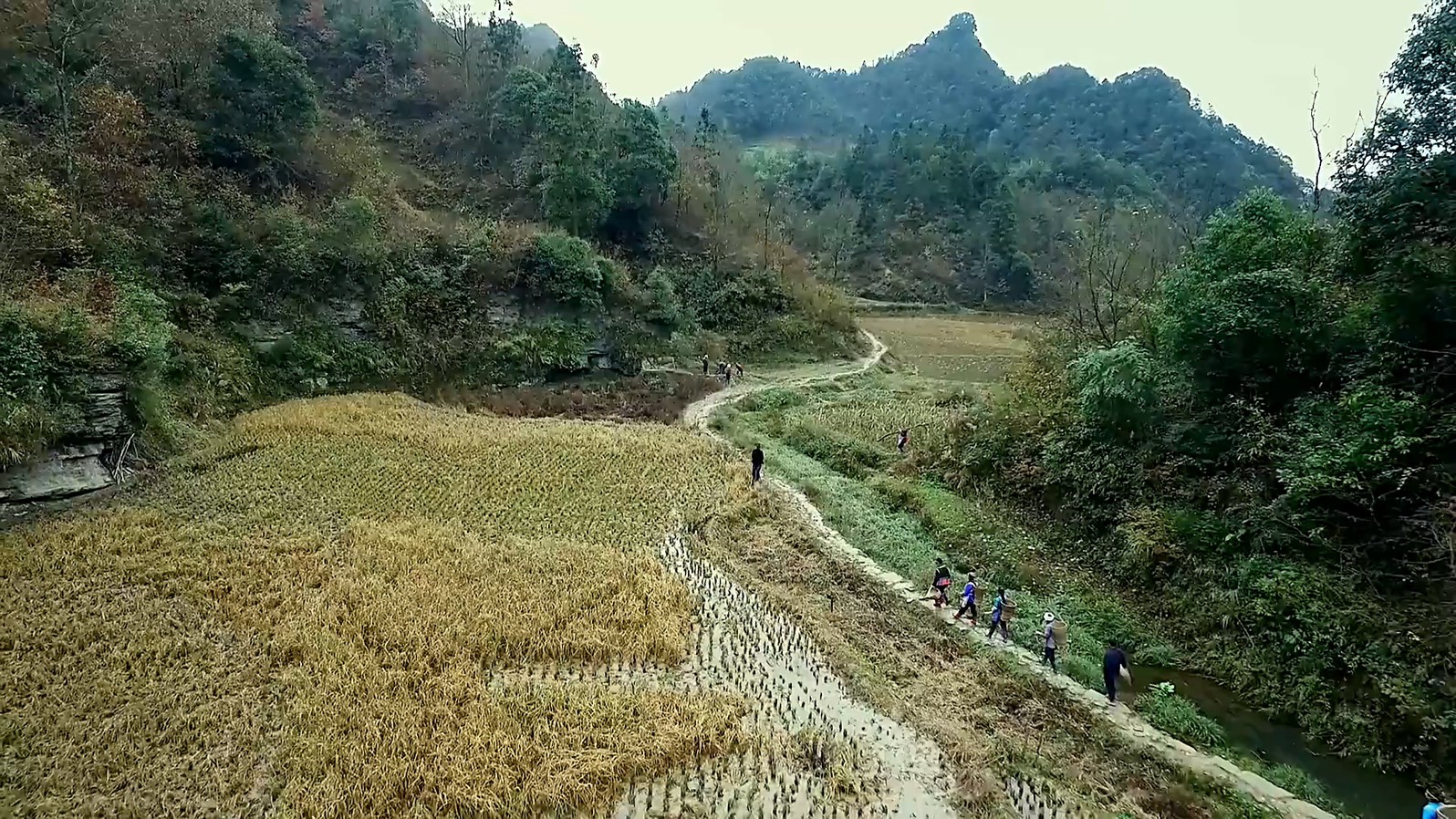 《本草中国》10集全.2016国产纪录片.HD1080P.国语中字截图;jsessionid=_rOb7tX2-jhVuVe1p-ZyPlbEkTgyndvEXF_rORRg