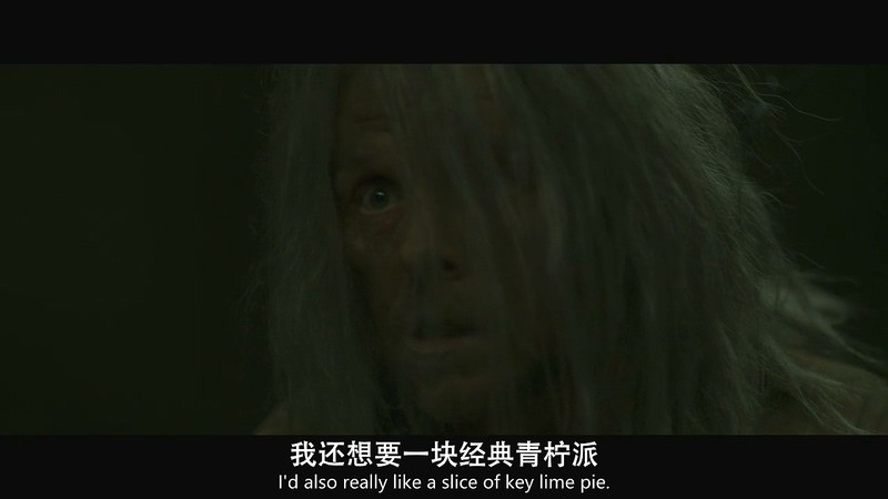 2020美国惊悚《继承》HD720P&HD1080P.英语中英双字截图