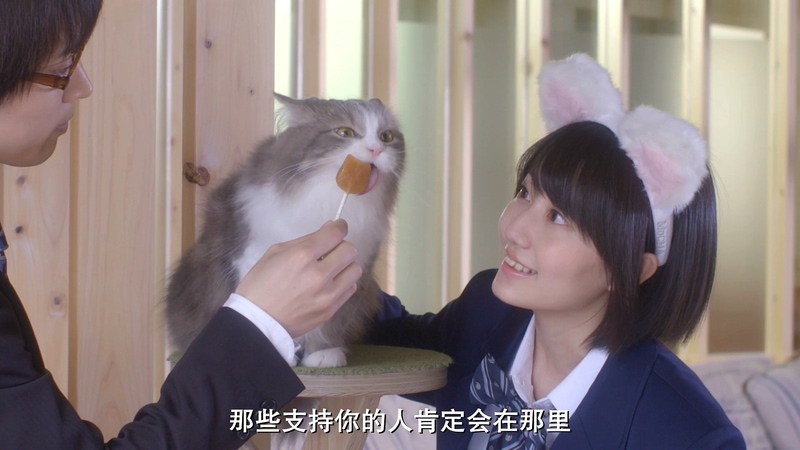 2018日本爱情《猫咪咖啡厅》BD720P&BD1080P.日语中字截图