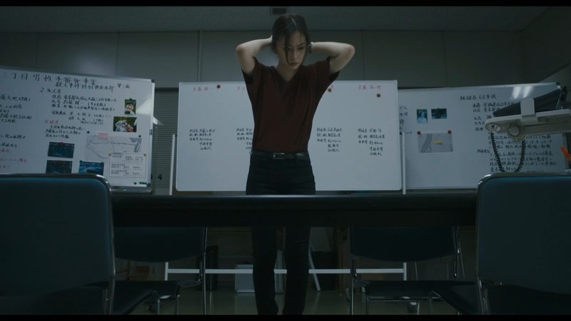 2020日本剧情《安乐死医师的遗产》BD720P&BD1080P.日语中字截图