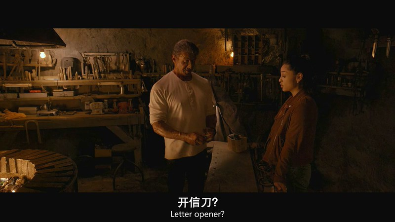 2019动作惊悚《第一滴血5：最后的血》BD720P&BD1080P.英语中英双字截图