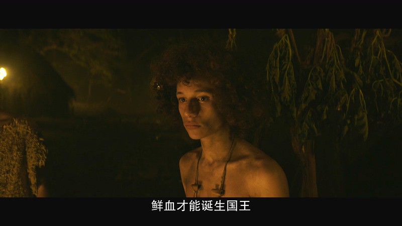 第一个国王剧照