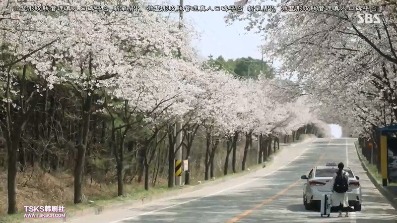 2019韩剧《痛症医师车耀汉》更至13集.HD720P.韩语中字截图