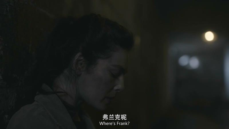 2016美剧《高堡奇人第二季》10集全.HD1080P.英语中英双字截图