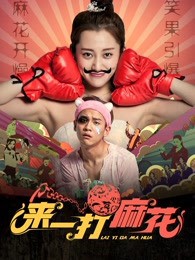 来一打麻花封面图