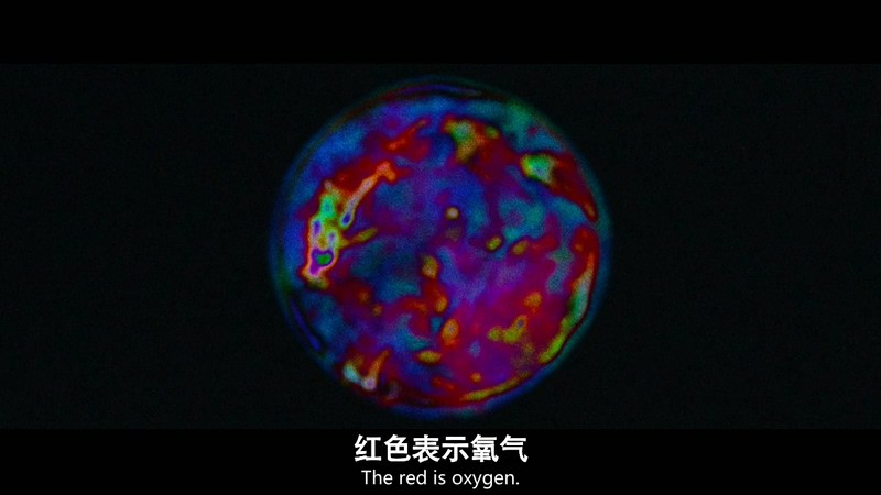 2021科幻惊悚《太空异旅》HD720P&HD1080P.英语中英双字截图