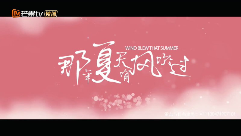 2019爱情国剧《那年夏天有风吹过》27集全.HD1080P.国语中字截图