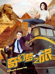 奇幻梦之旅封面图