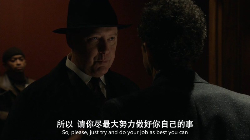 2020美剧《罪恶黑名单 第八季》22集全.HD1080P.英语中英双字截图