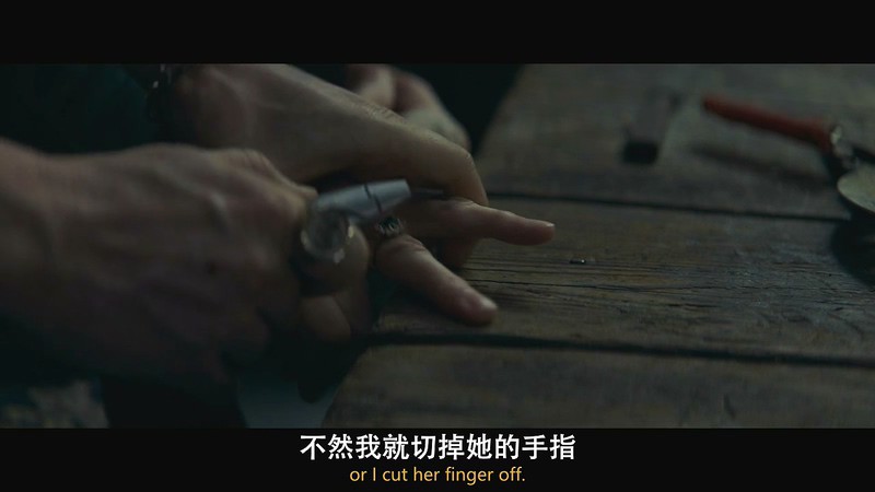 2020美国惊悚《拥有者》HD720P&HD1080P.英语中英双字截图