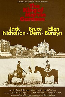 美人迟暮封面图