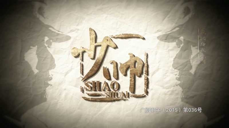 2015国剧《少帅》48集全.HD1080P.国语中字截图