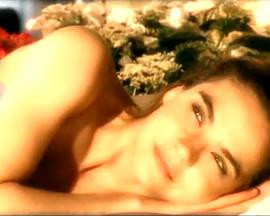 爱情与谎言封面图