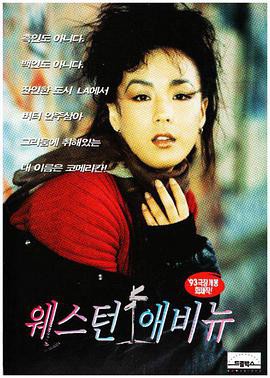 西域情怀封面图