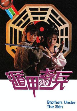 遁甲奇兵国语版封面图