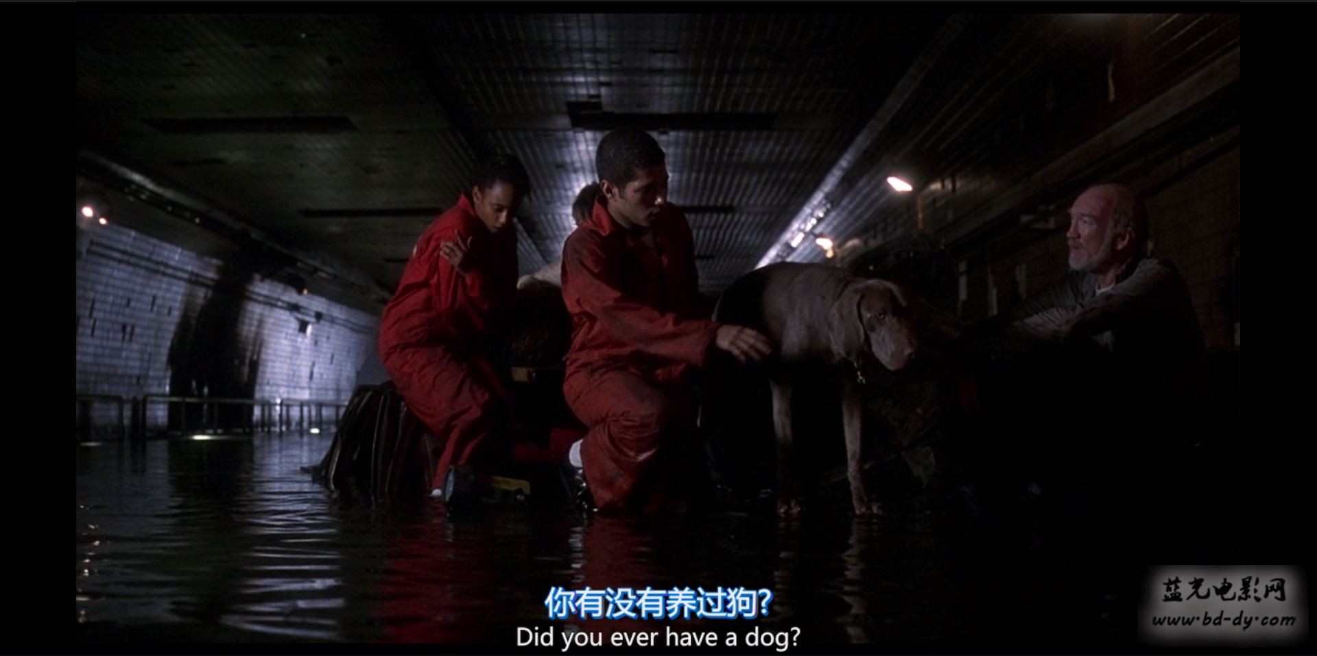 《十万火急/龙出生天》1996史泰龙灾难冒险.BD720P.国英双语.中英双字截图