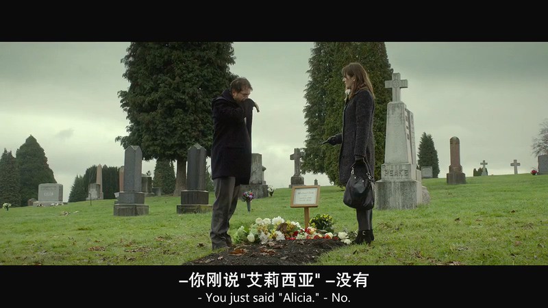 2019加拿大剧情《菲尔》HD720P.英语中英双字截图