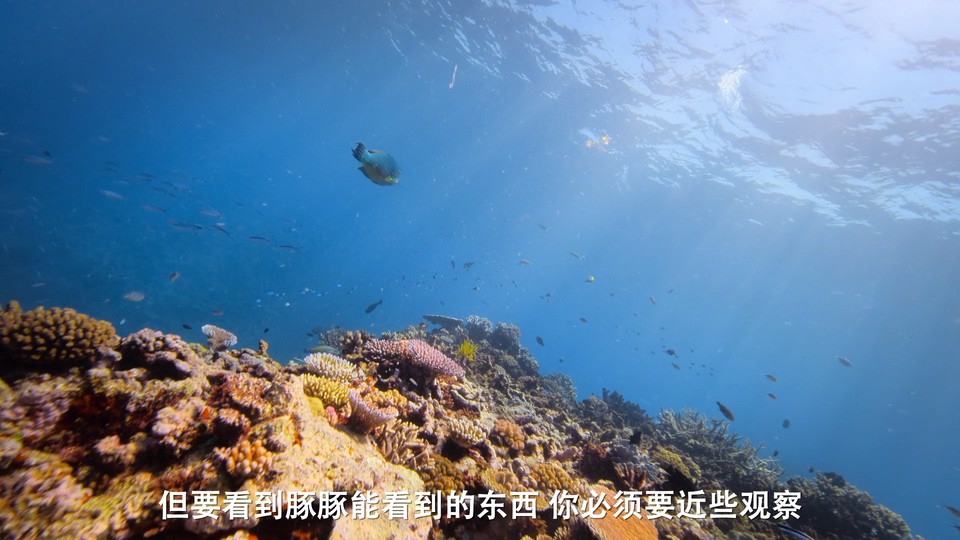 点击在新窗口打开