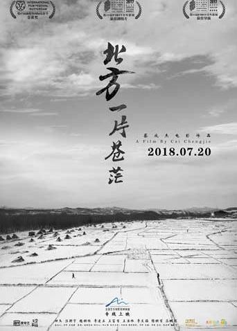 北方一片苍茫封面图