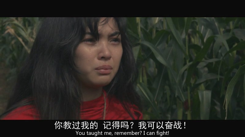 2016悬疑惊悚《猎鸟》HD720P.菲律宾语中英双字截图