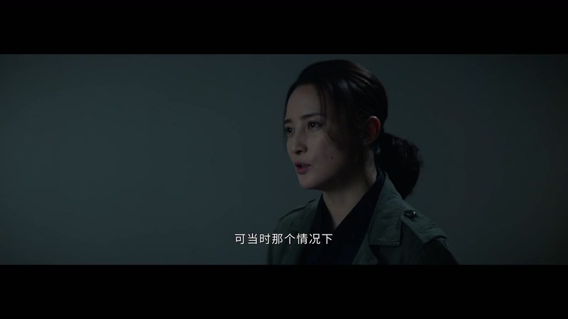 2020国剧《迷雾追踪》更至24集.HD1080P.国语中字截图