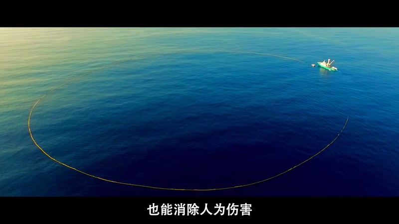 2021美国纪录《渔业阴谋》HD720P&HD1080P.英语中字截图