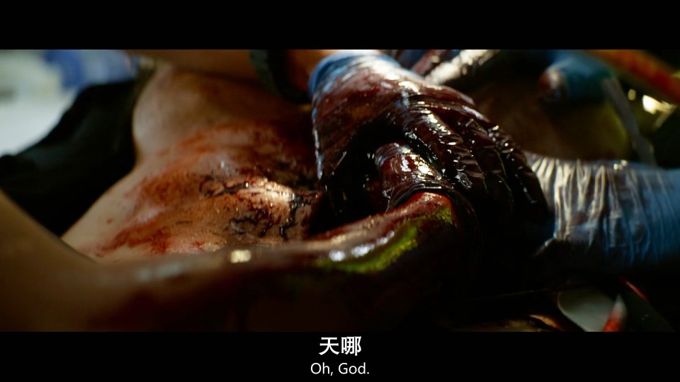 2022犯罪动作《亡命救护车》HD1080P.英语中英双字截图