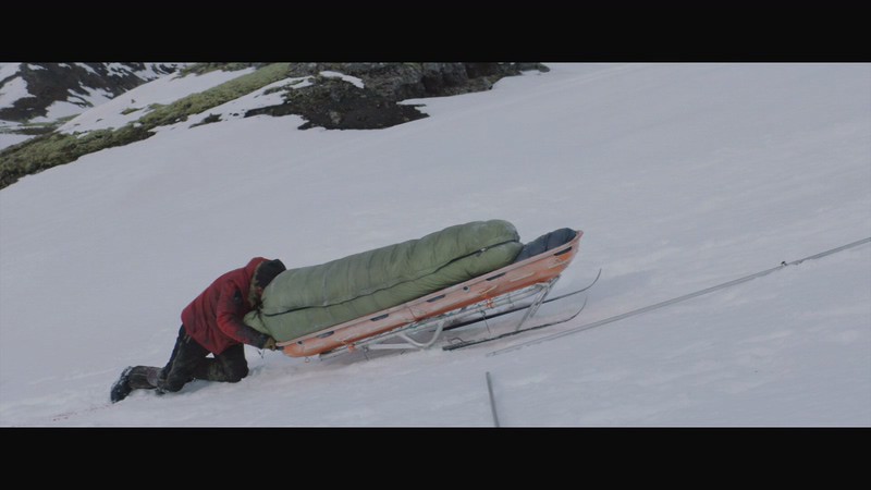 [BD-MP4] 北极 / Arctic (2018)截图
