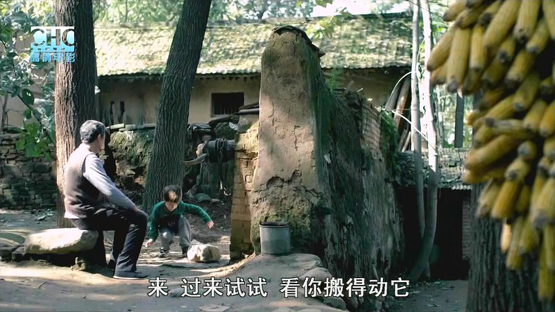 2012高分家庭剧情《孙子从美国来》HD720P.国语中字截图