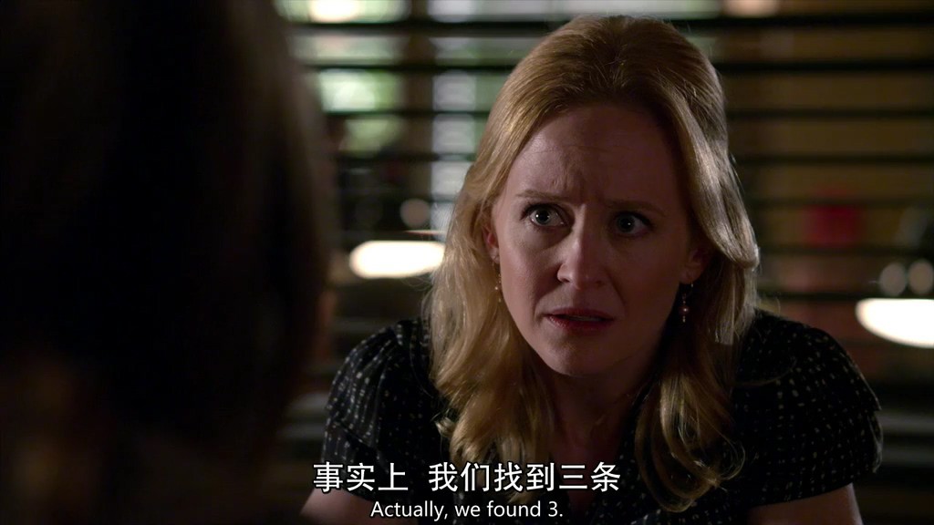 2014犯罪悬疑《犯罪心理第十季》23集全.HD1080P.英语中英双字截图