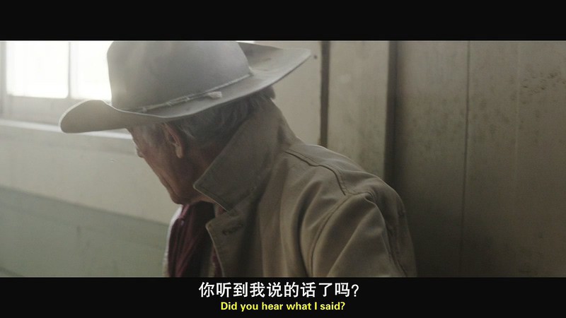 2016西部剧情《去日无痕》BD720P.英语中英双字截图