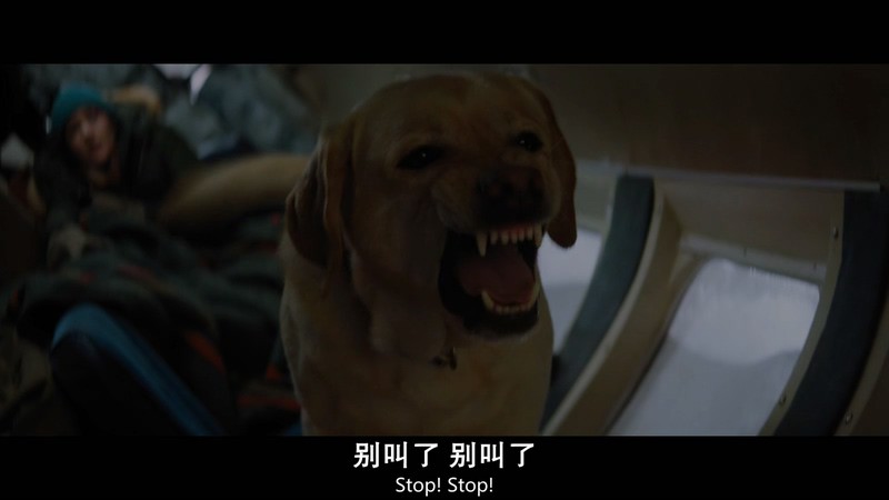 2017爱情冒险《远山恋人》BD720P.英语中英双字截图