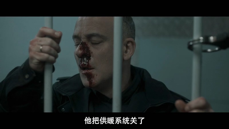 2021惊悚动作《零度以下》HD720P&HD1080P.英语中字截图