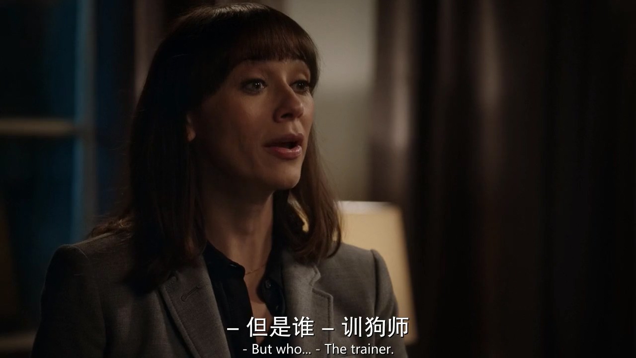 《爆笑女警第二季》10集全.2016悬疑喜剧.HD720P.中英双字截图