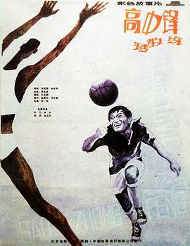 高中锋，矮教练封面图