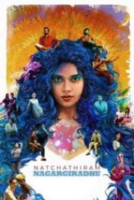 划过天空的星封面图