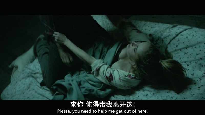 2018美国剧情《荒芜》HD720P&HD1080P.英语中英双字截图