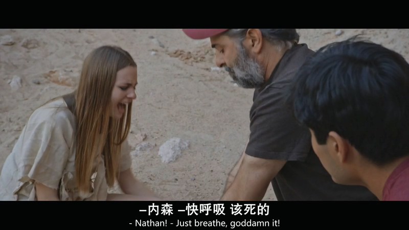2019美国剧情《内森的王国》HD720P&HD1080P.英语中英双字截图