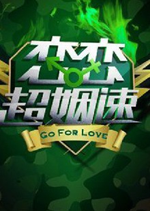 恋恋超姻速封面图