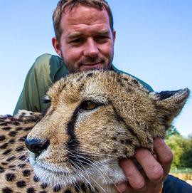 家里养大喵封面图