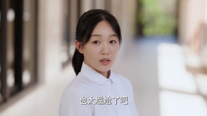 2021国剧《暗格里的秘密》24集全.HD1080P.国语中字截图