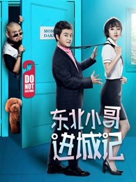 东北小哥进城记封面图