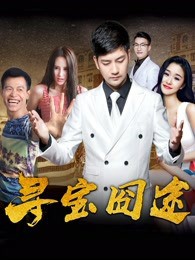 寻宝囧途封面图