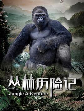 丛林历险记2020封面图