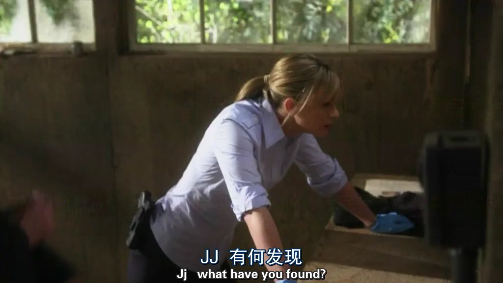2009犯罪悬疑《犯罪心理第五季》23集全.HD1080P.英语中英双字截图