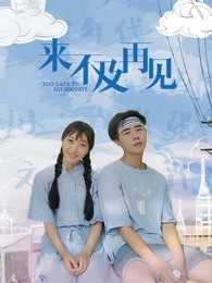 来不及再见封面图