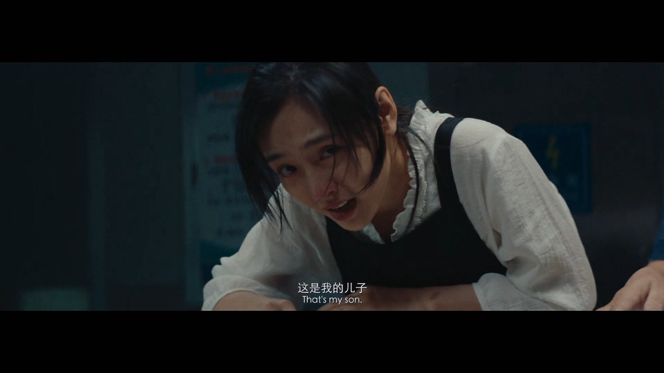 2022家庭剧情《人生大事》HD1080P.国语中字截图