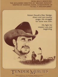 温柔的怜悯封面图